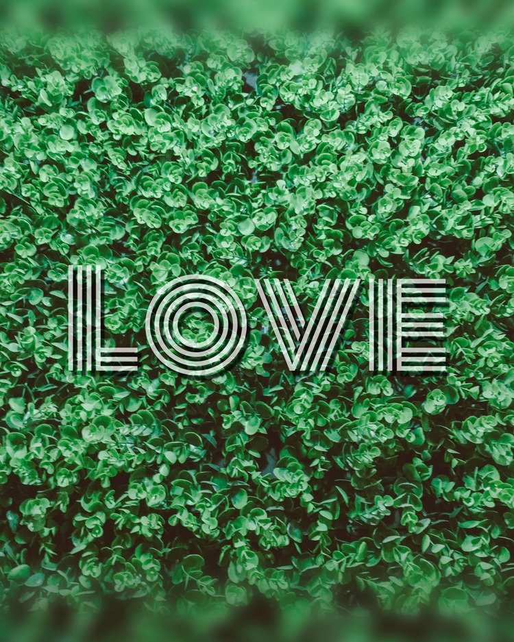 Фотография Love художницы Оли Феофиловой